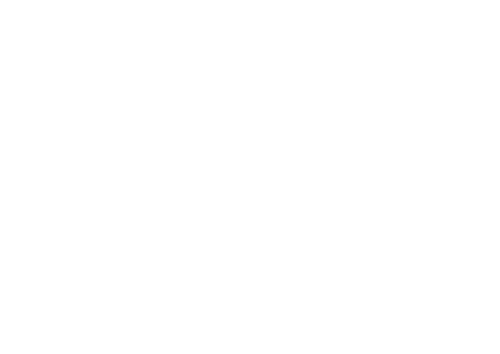 Wild Life