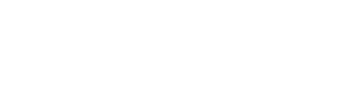 The Silent Revolution
