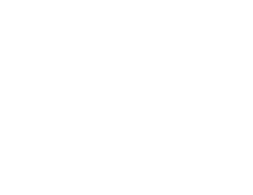 The Walk