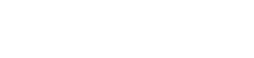 The Last Bastion