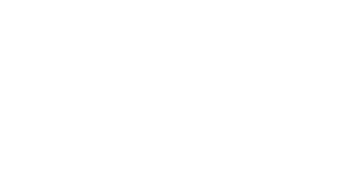 The Fast and the Furious