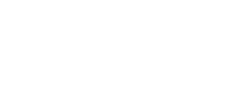 Spiders