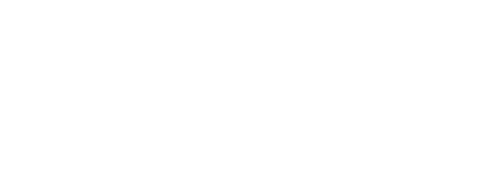 All Blacks at War