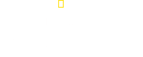 Kingdom of the Polar Bears