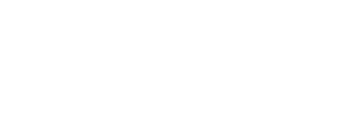 Ms .45