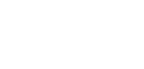 The Nest