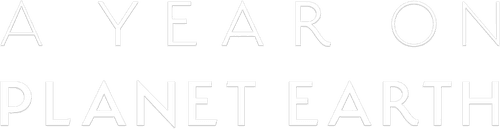 A Year on Planet Earth