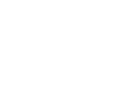 The Ultimate Braai Master