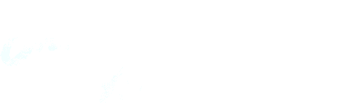 Once Upon a Honeymoon