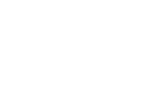 The Blind Shot