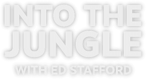 Ed Stafford -  Into the Jungle