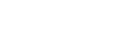 Protect the Boss