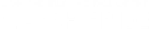 Lion: The Rise and Fall of the Marsh Pride