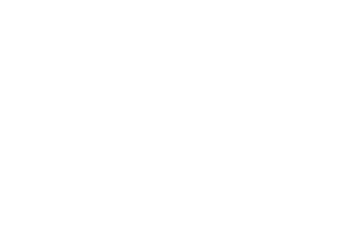 Man in the Arena: Tom Brady