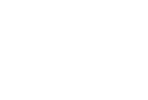 Gundam Wing: The Endless Waltz