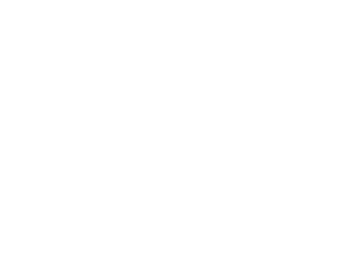 Black Dog
