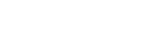 The Time of Fever