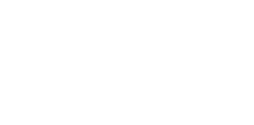 Flicka 2