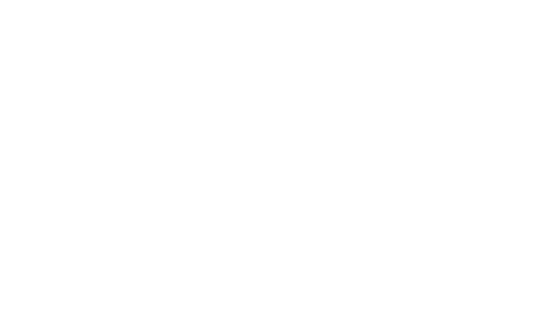The Chinese Boxer