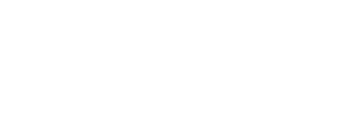 Troubled Waters: A Turtle's Tale