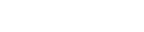 The Endurance
