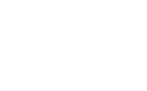 Director's Cut