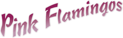 Pink Flamingos