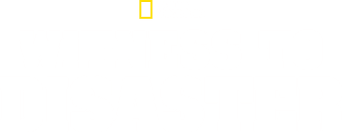 Witness to Disaster