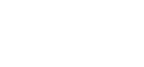 Silver Skates