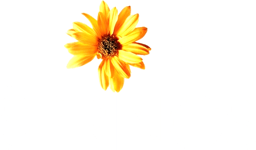 Hope Springs