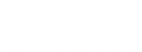The Punisher: One Last Kill