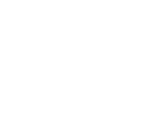 AMAIM Warrior at the Borderline