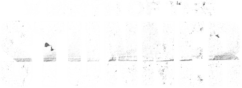 Birth of The Stunner