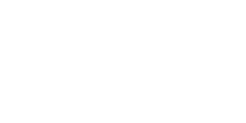 Unwrapping Christmas: Lily's Destiny
