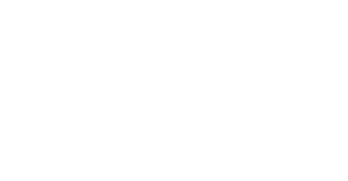 The Bank Dick