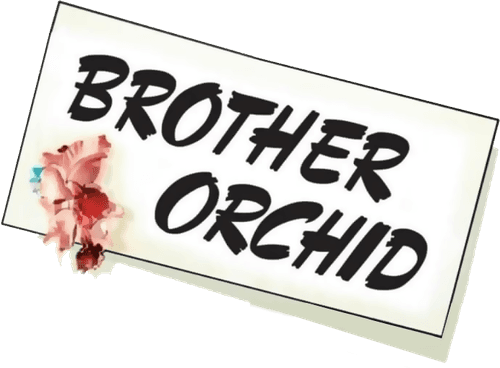 Brother Orchid