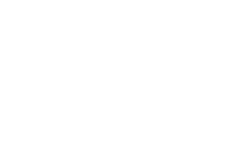 UFC 313: Pereira vs. Ankalaev