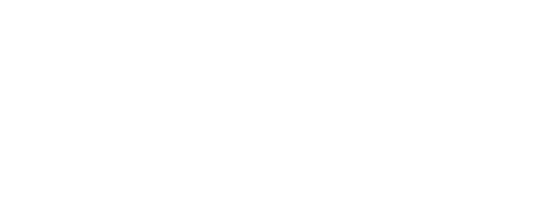 Geek Girl