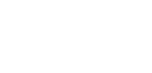 Ticket to Paradise