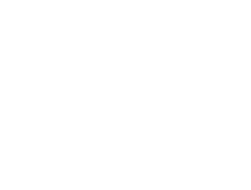 Sharp Stick