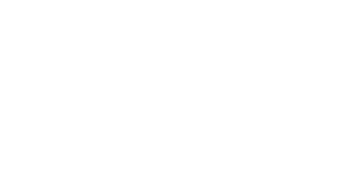 The Wives