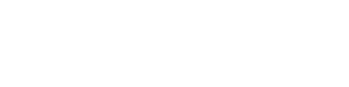 The Snow Sister