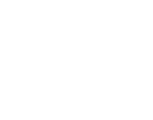 Callan Kicks The Year 2024