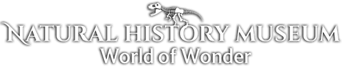 Natural History Museum: World of Wonder