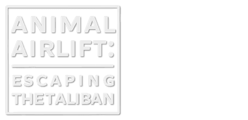 Animal Airlift: Escaping the Taliban