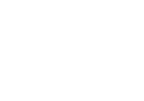 Ring 2