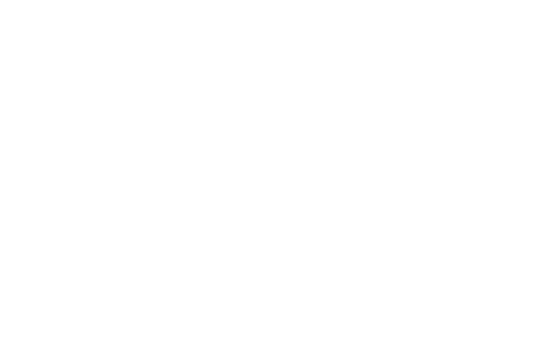A Dog's Purpose