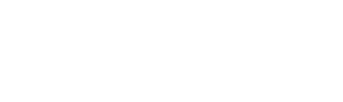 The Jane Austen Book Club
