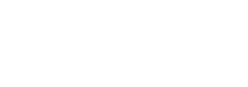 The Slavs