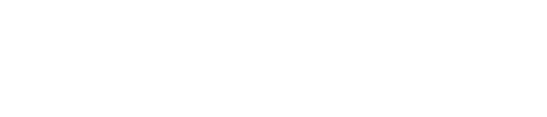 A Brief History of the Future
